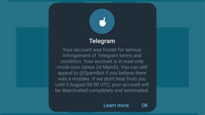 Anfac & Qarxis Telegram: What You Need to Know | Updates