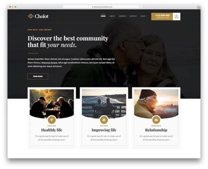 Best Community Website for Indians in Detroit & More | MIIndia