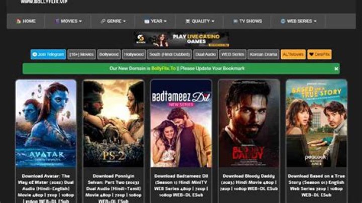 Best of Bollyflix.spa: New Movies & Shows to Discover!