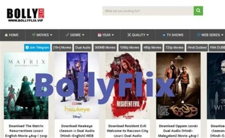 Bollywood Movies & Downloads: Your Guide to Bollyflix & More