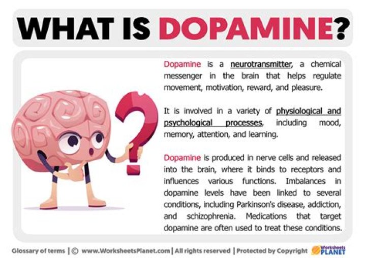 Decoding Aagmal: Its Meaning, Uses & Impact - Explained!