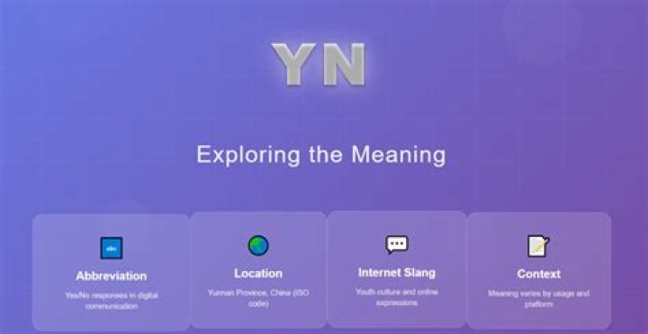 Decoding "YN": Meaning & Impact in Slang, Texting, and Fanfiction
