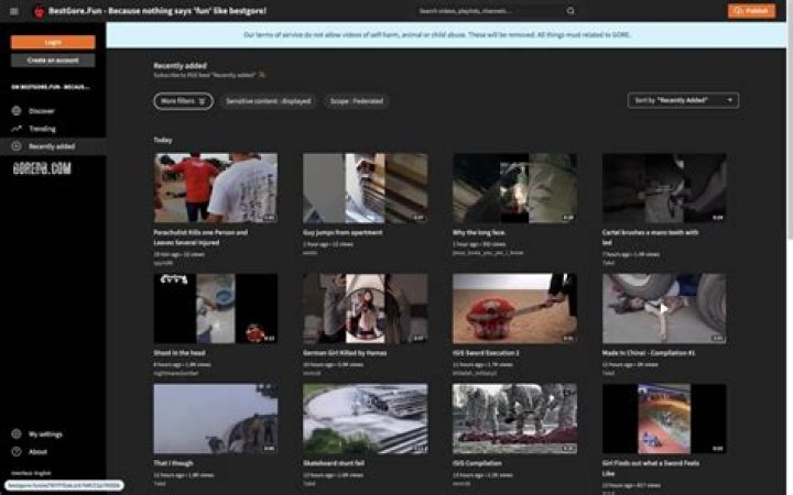 Deep Gore Tube & Sites Like Bestgore: Uncensored Reality & Shock Content