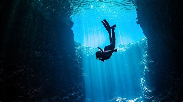 Dylan Phoenix and Ryan Conner: A Deep Dive