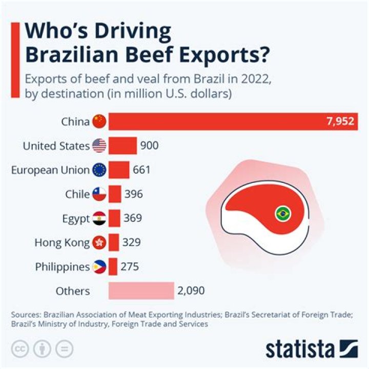 Fry99.cc: Traffic, Stats, and Global Exports