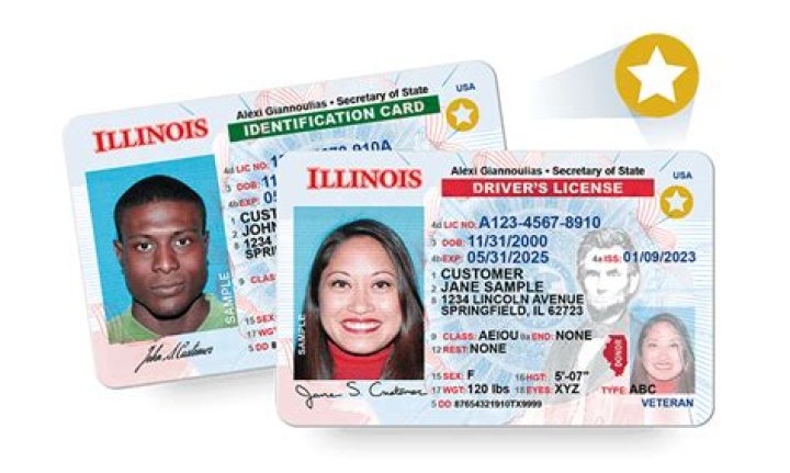 IDPFR License Lookup & Renewal: Your Guide to Illinois Licenses
