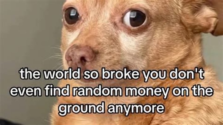 Meme Mania: Explore the World of Memes Online!