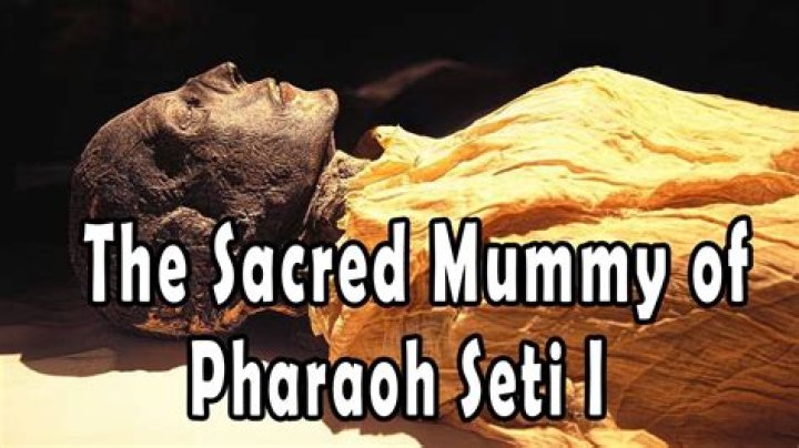 Ms Sethi: The Ultimate Guide - Facts, Videos & More!