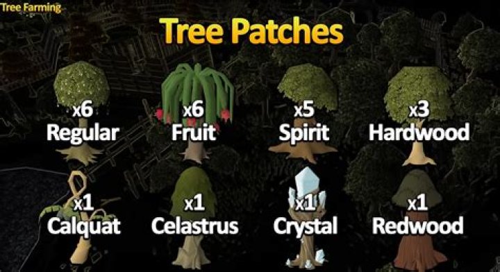 OSRS Fruit Tree Patches Guide: Locations, Tips & Tricks