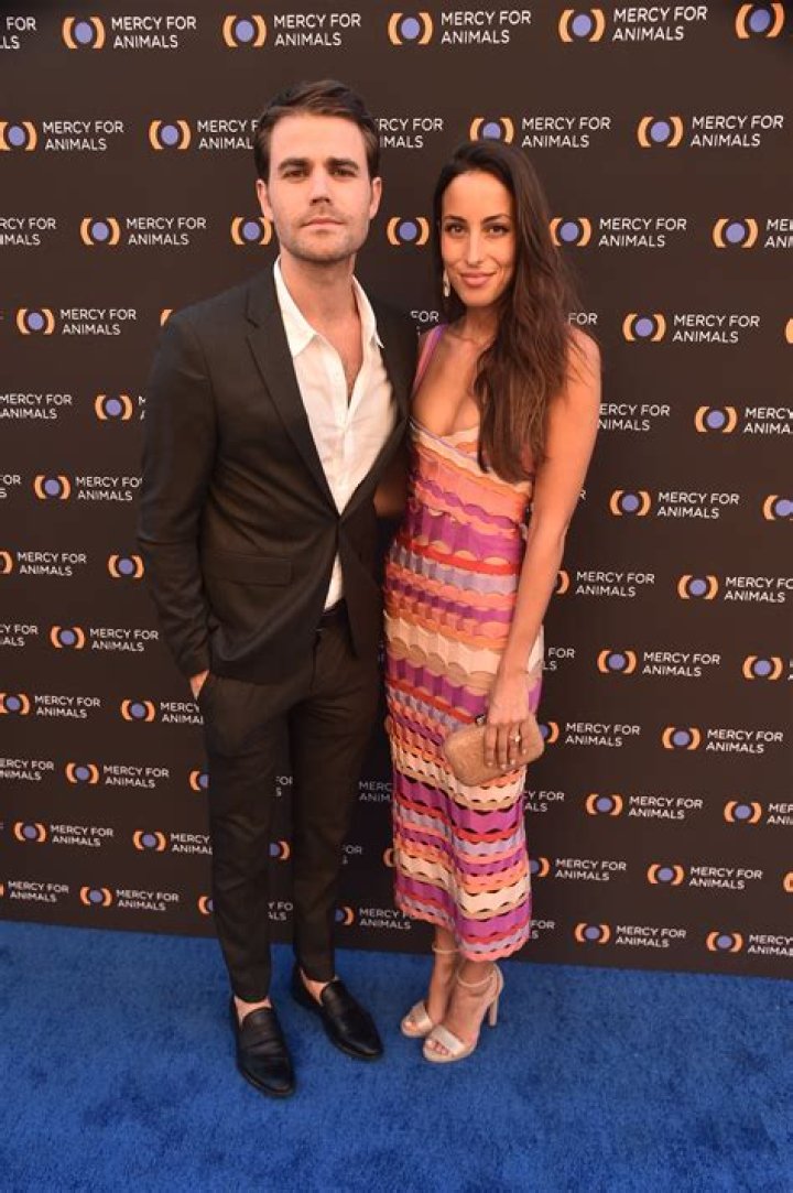 Paul Wesley: Bio, Career, Relationships & More