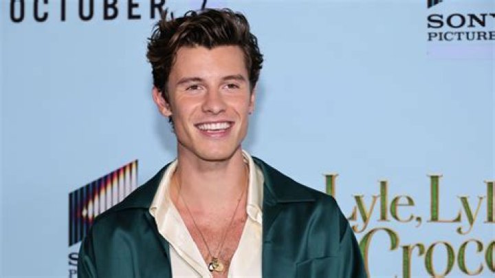 Shawn Mendes: "Figuring Out" Sexuality & Addressing Rumors