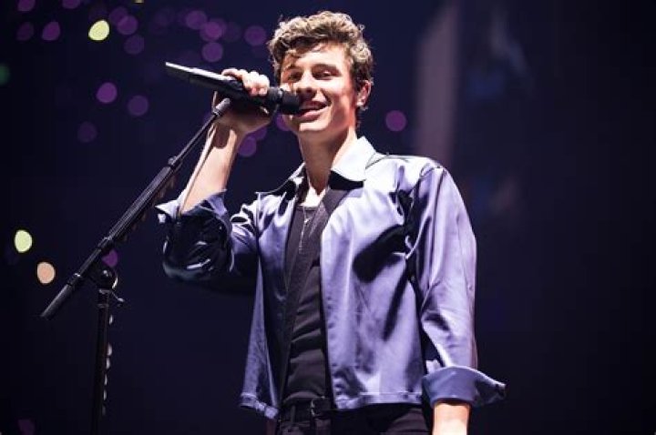 Shawn Mendes on Sexuality: "Just Figuring It Out" | News