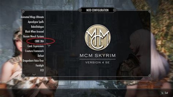 Skyrim Mod: Yuriana & Wenches - Info, Updates, & Story
