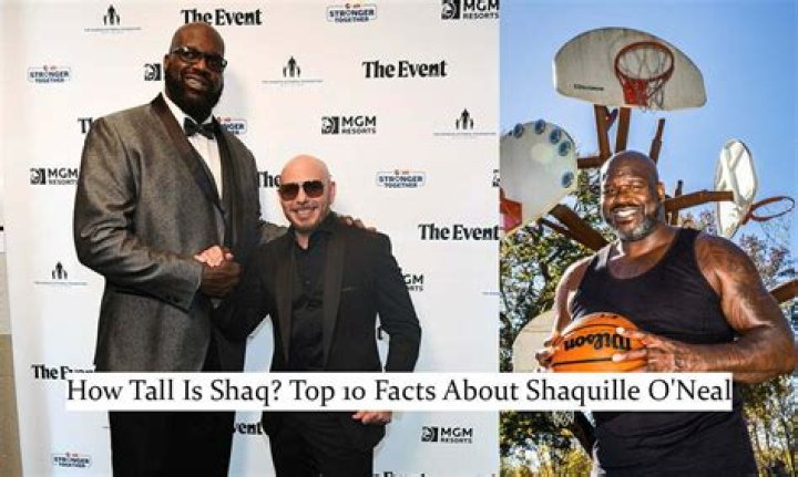 Sylvester Stallone's Height: How Tall is He Really?