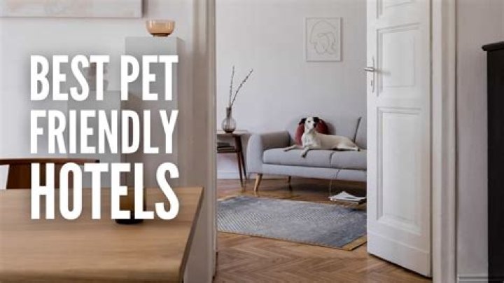Top Pet-Friendly Hotels in Fort Pierce, FL