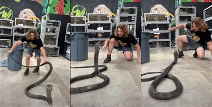 Uncovering the Truth: Brent Corrigan's Life & "King Cobra"