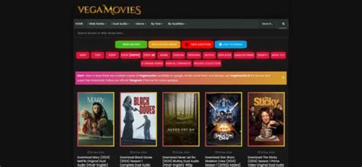 Vegamovies.ps: Traffic Sources, WordPress & Safe Alternatives - Explore Now!