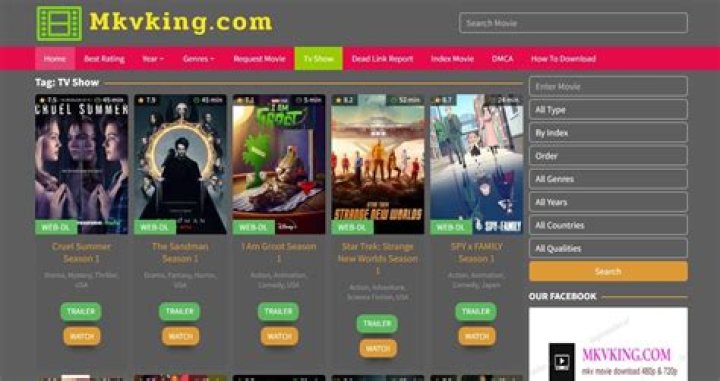 Watch Free Movies Online: MkvKing Review